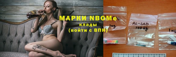индика Семилуки