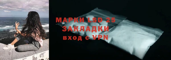 PSILOCYBIN Осинники