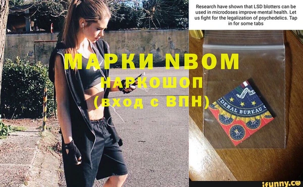 первитин Заполярный