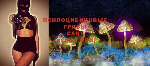 PSILOCYBIN Осинники