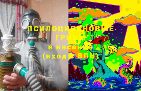 PSILOCYBIN Осинники