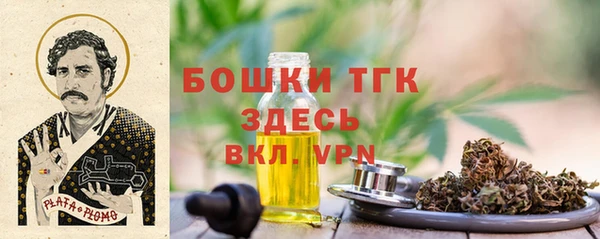 PSILOCYBIN Осинники