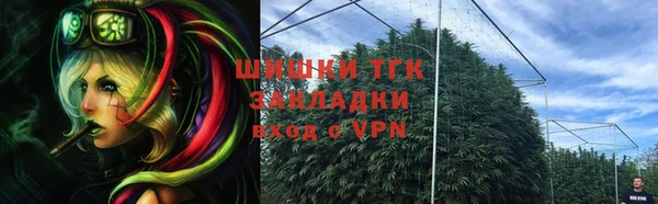 PSILOCYBIN Осинники