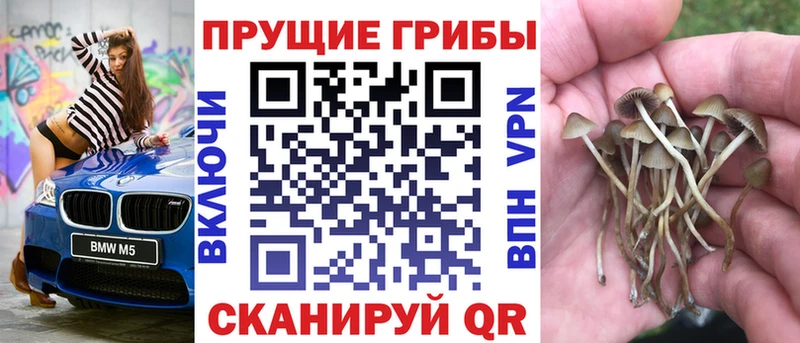Псилоцибиновые грибы мицелий  Кизел 